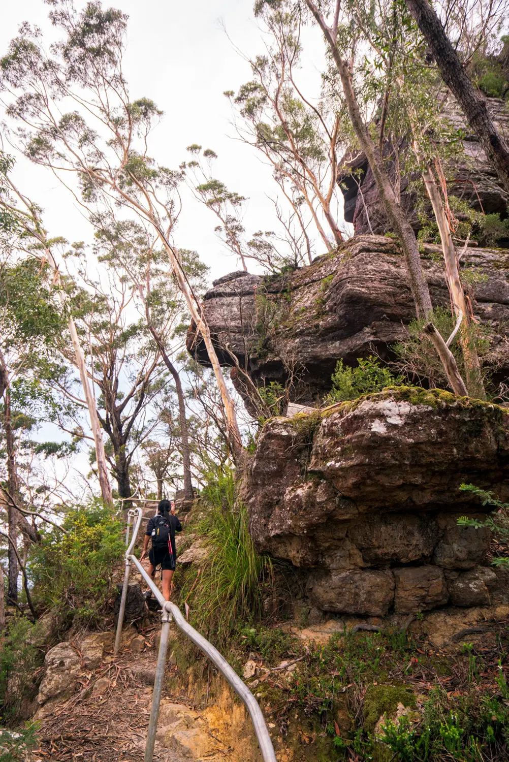 Woman climbing up a steep trail alongside roack faces. Hand rail to her left, rock faces to her right.