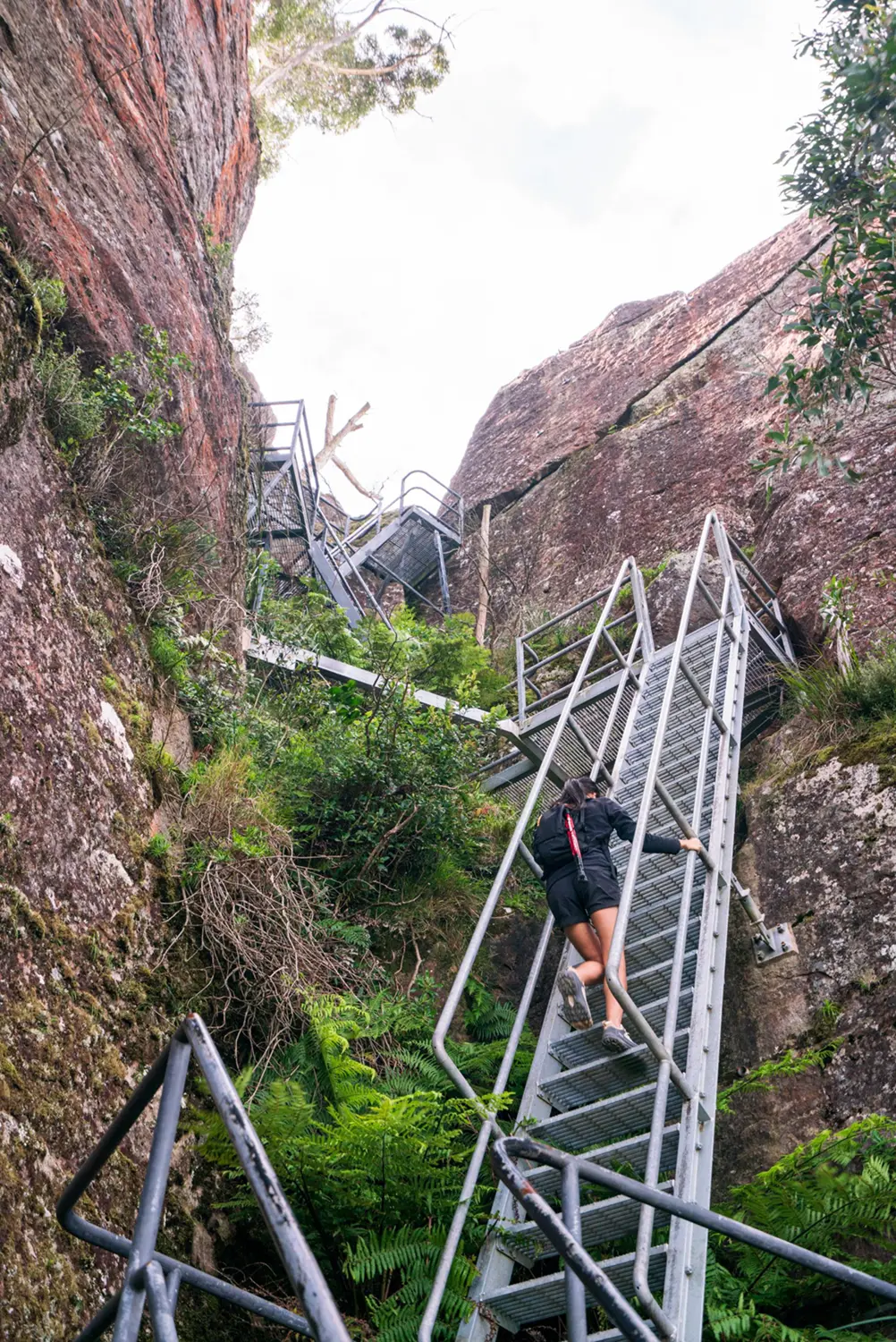 Woman climbing down steel mesh ladders down a mountain rock face.