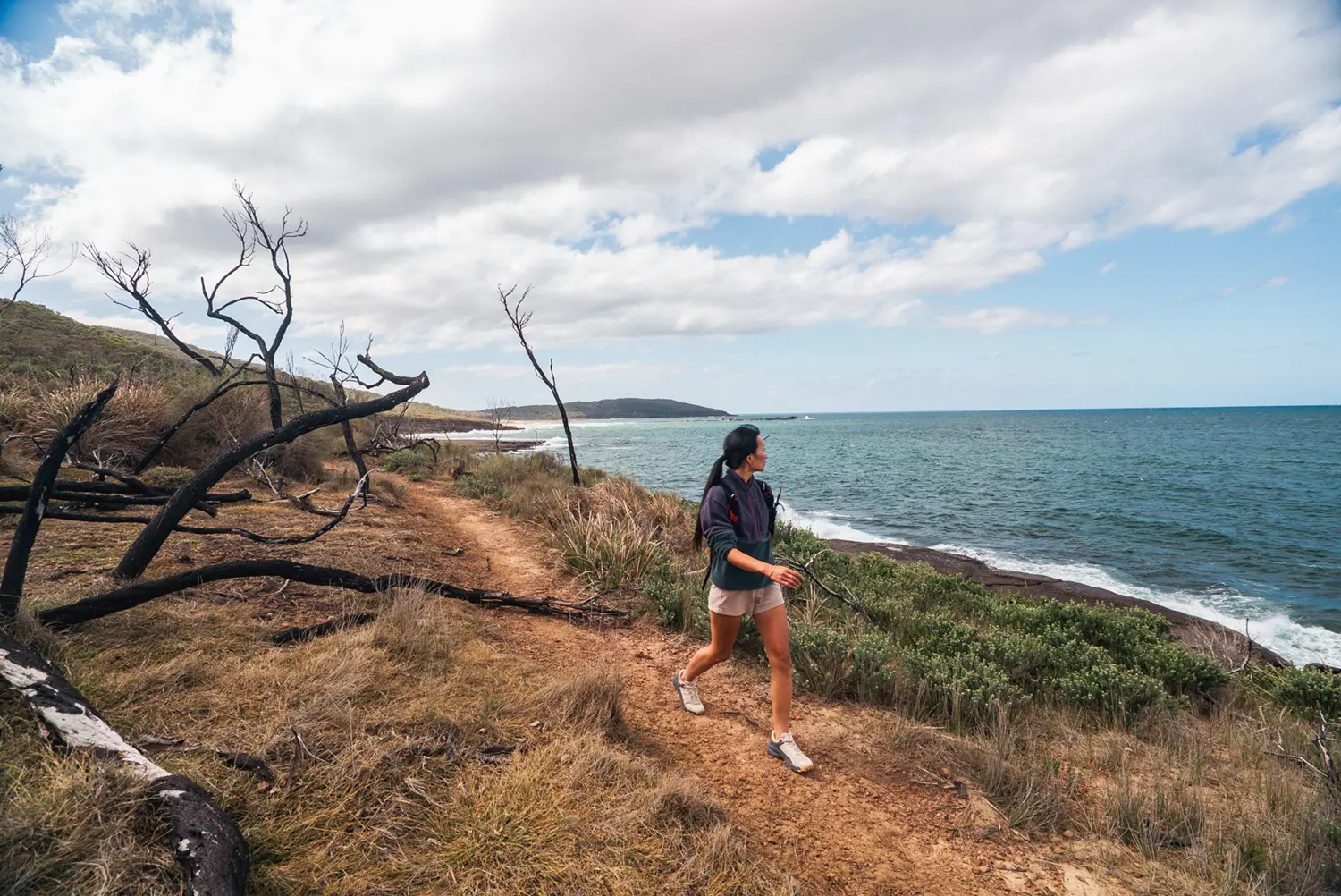 Woman walking on a coast trail. Twisted trees behind her on the trail. Dull green grass and bushes on either side of the trail. Blue ocean to her right as she looks out to the ocean. Headland way in the distance in the background.
